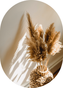 Parlor Palm